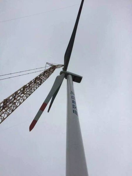 �µ�����(�й�)���޹�˾����