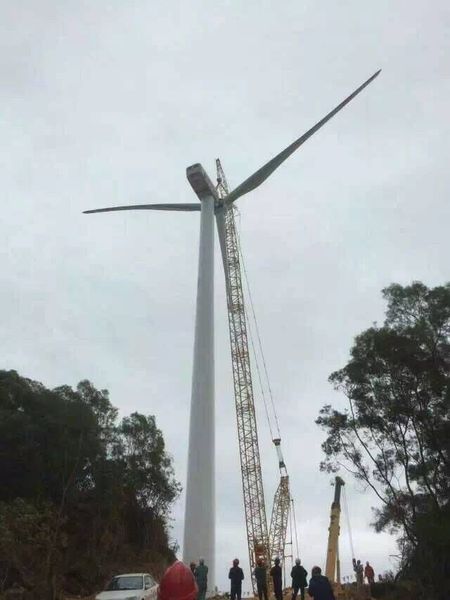 �µ�����(�й�)���޹�˾����