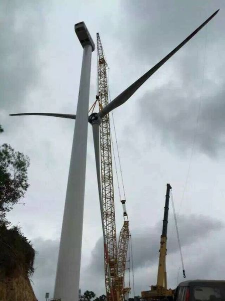 �µ�����(�й�)���޹�˾����