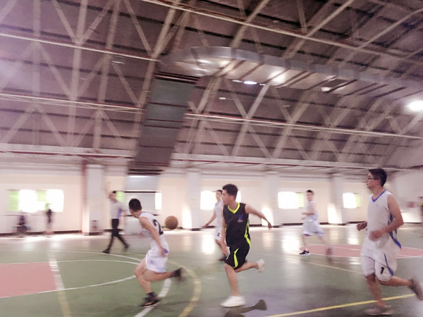 新得利·(中国)有限公司官网