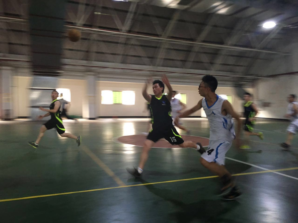 新得利·(中国)有限公司官网