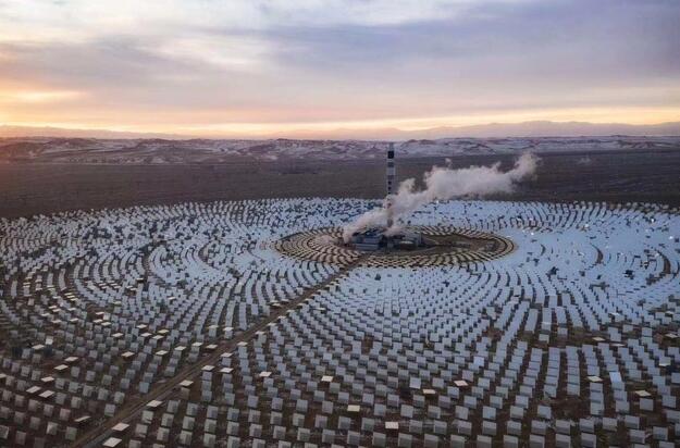 �µ�����(�й�)���޹�˾����