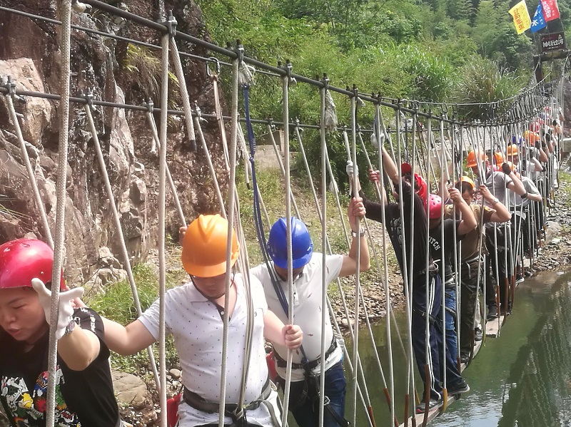 �µ�����(�й�)���޹�˾����