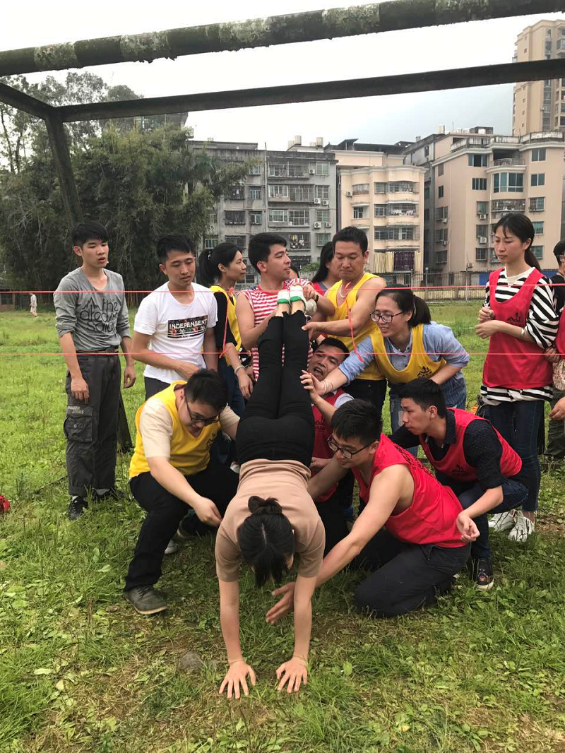 �µ�����(�й�)���޹�˾����