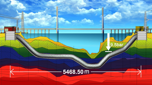 �µ�����(�й�)���޹�˾����