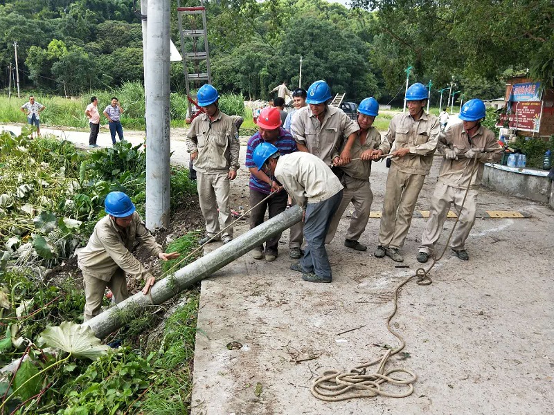 新得利·(中国)有限公司官网