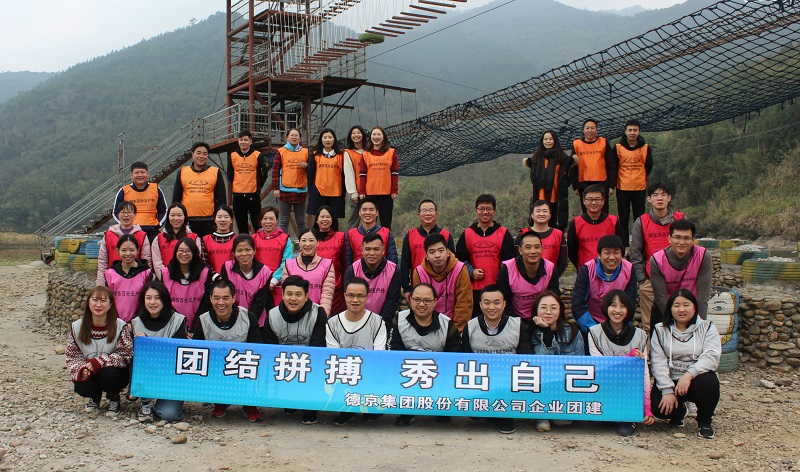 �µ�����(�й�)���޹�˾����