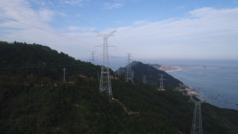 新得利·(中国)有限公司官网