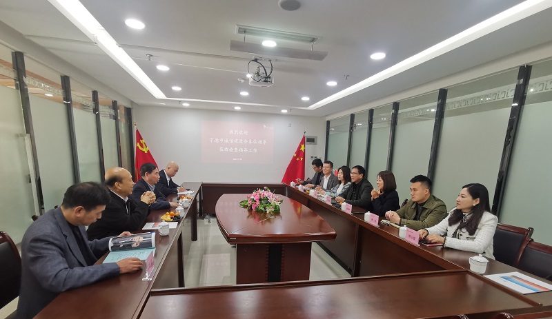 �µ�����(�й�)���޹�˾����