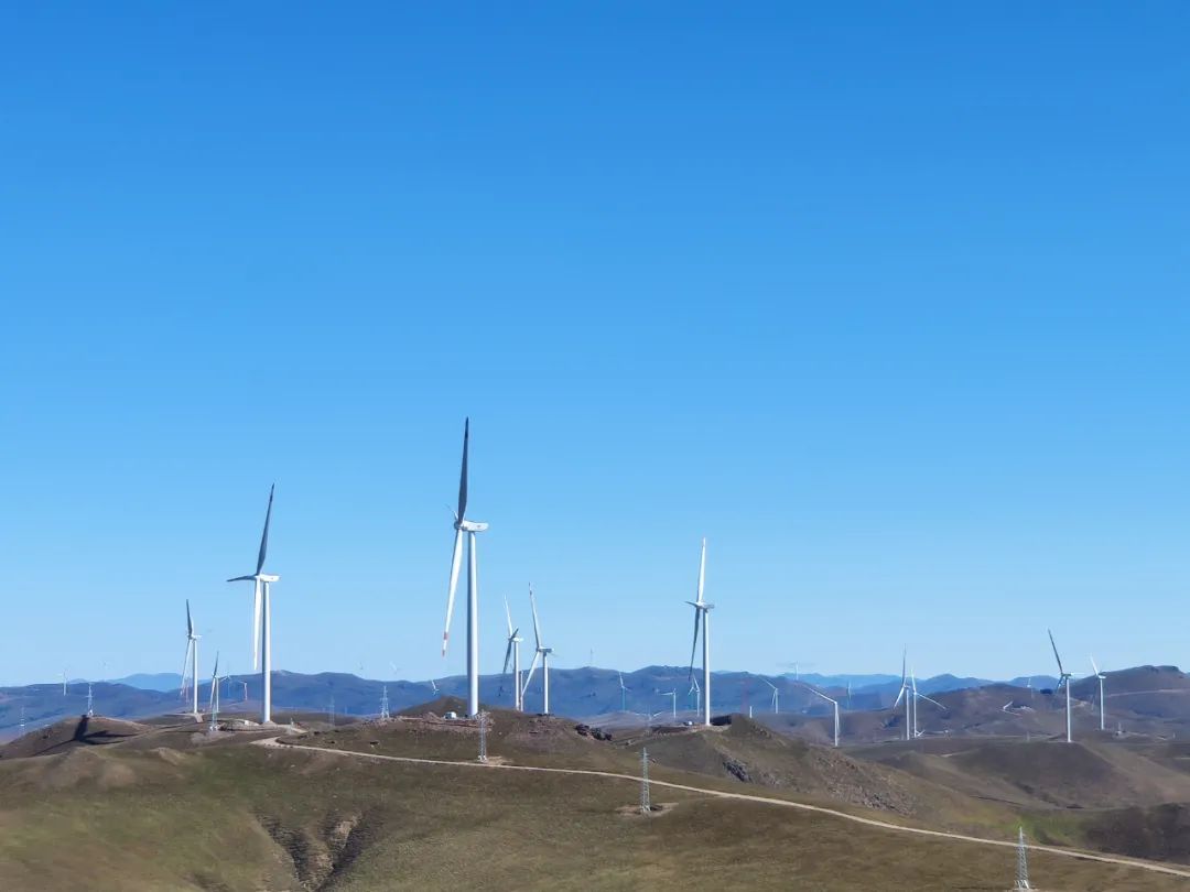 �µ�����(�й�)���޹�˾����