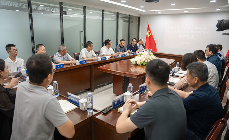 �µ�����(�й�)���޹�˾����