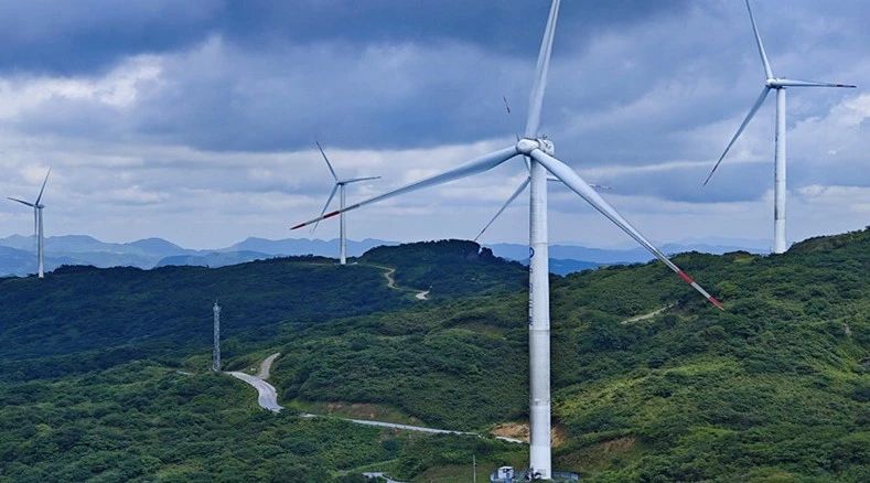 �µ�����(�й�)���޹�˾����