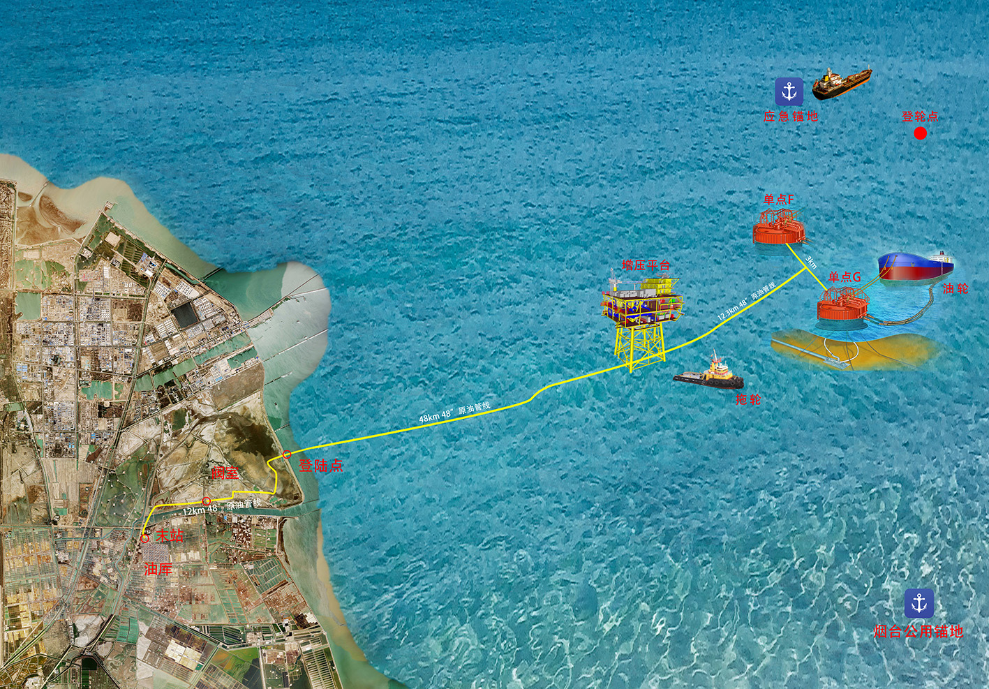 �µ�����(�й�)���޹�˾����