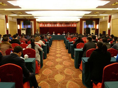 �µ�����(�й�)���޹�˾����