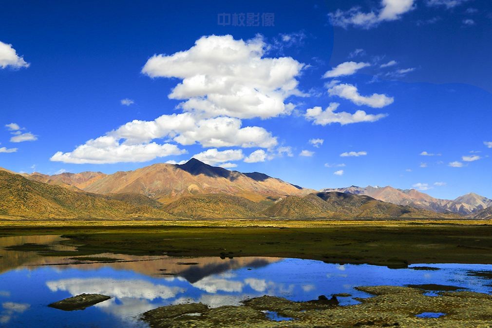 �µ�����(�й�)���޹�˾����