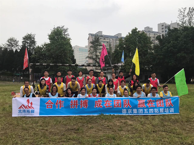 �µ�����(�й�)���޹�˾����