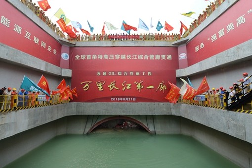 �µ�����(�й�)���޹�˾����