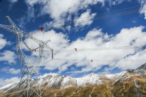 �µ�����(�й�)���޹�˾����