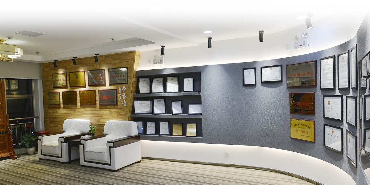 �µ�����(�й�)���޹�˾����