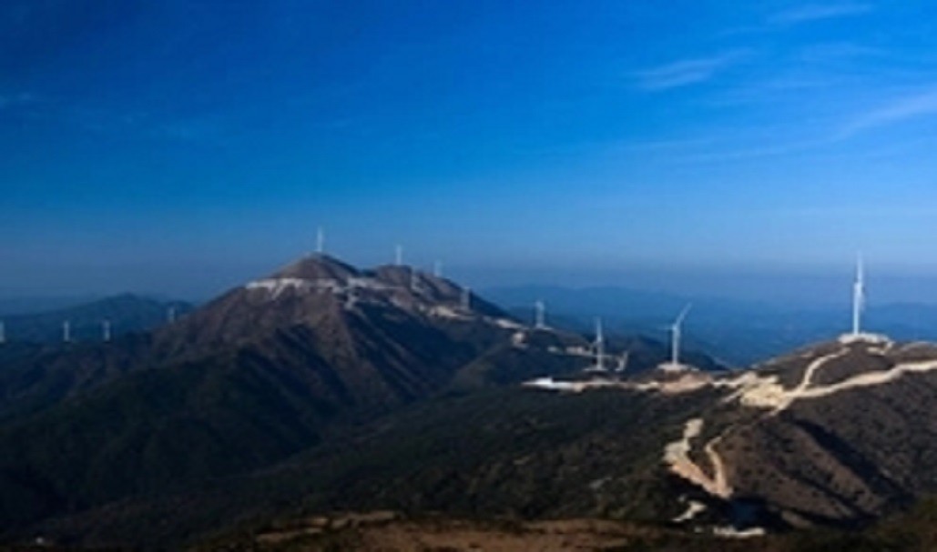 �µ�����(�й�)���޹�˾����