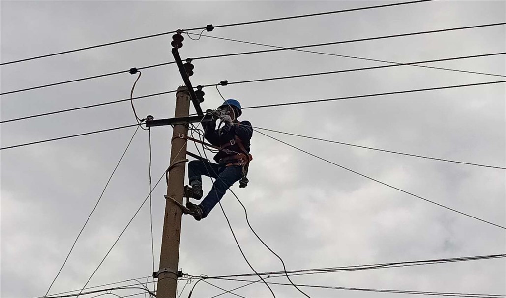 �µ�����(�й�)���޹�˾����