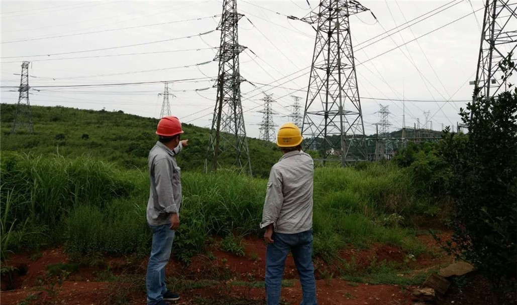 �µ�����(�й�)���޹�˾����