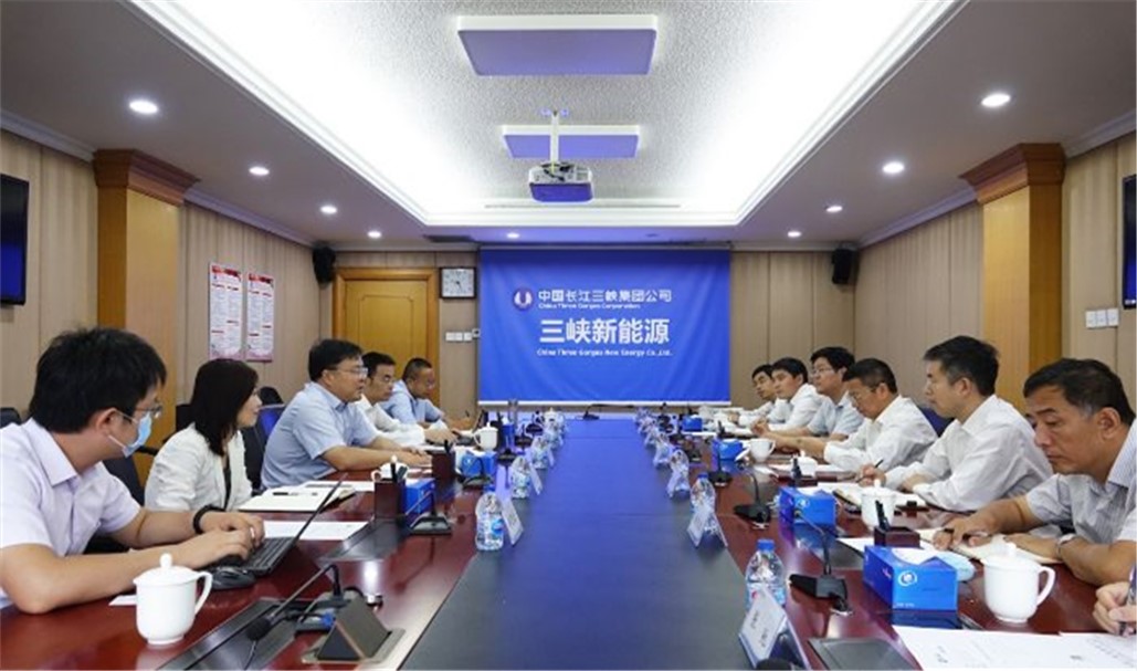 �µ�����(�й�)���޹�˾����