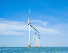 �µ�����(�й�)���޹�˾����