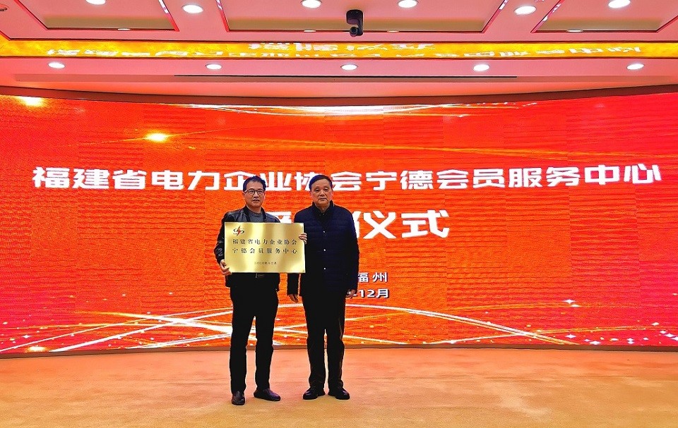 �µ�����(�й�)���޹�˾����