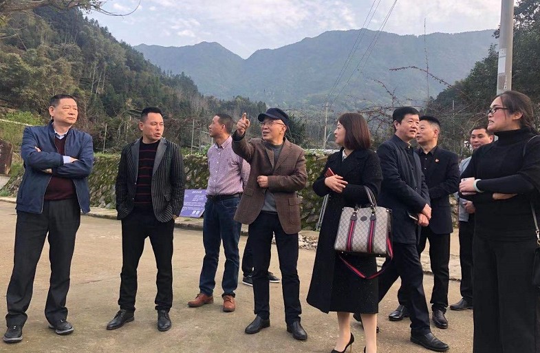 �µ�����(�й�)���޹�˾����