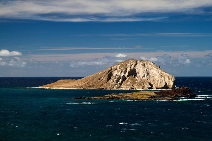 �µ�����(�й�)���޹�˾����