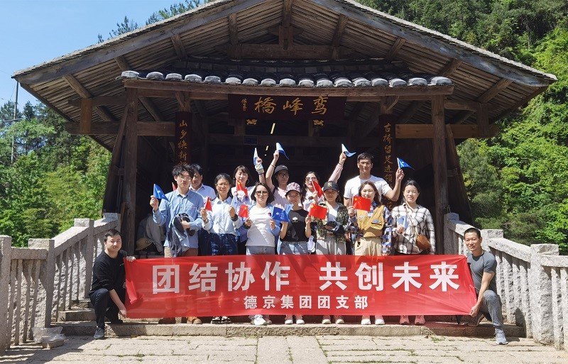 �µ�����(�й�)���޹�˾����