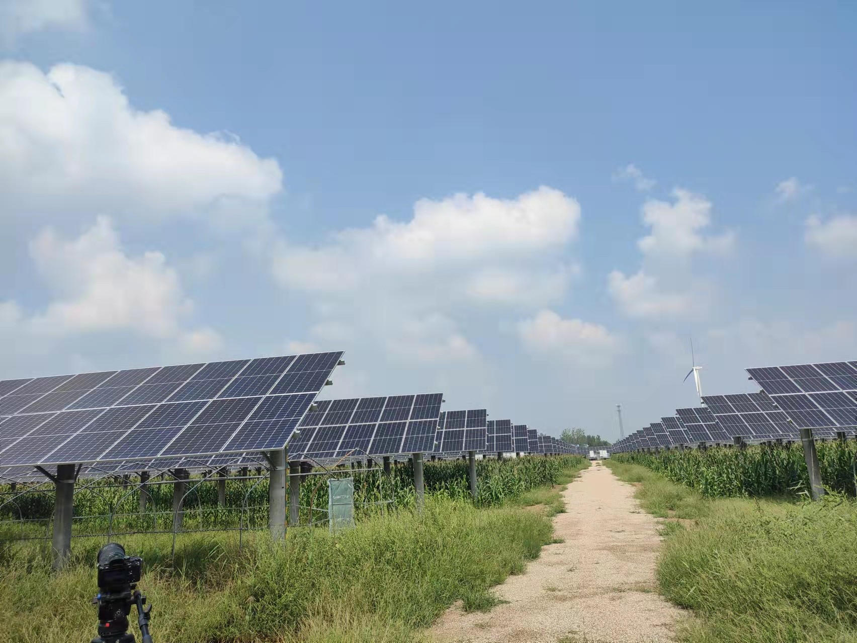 �µ�����(�й�)���޹�˾����