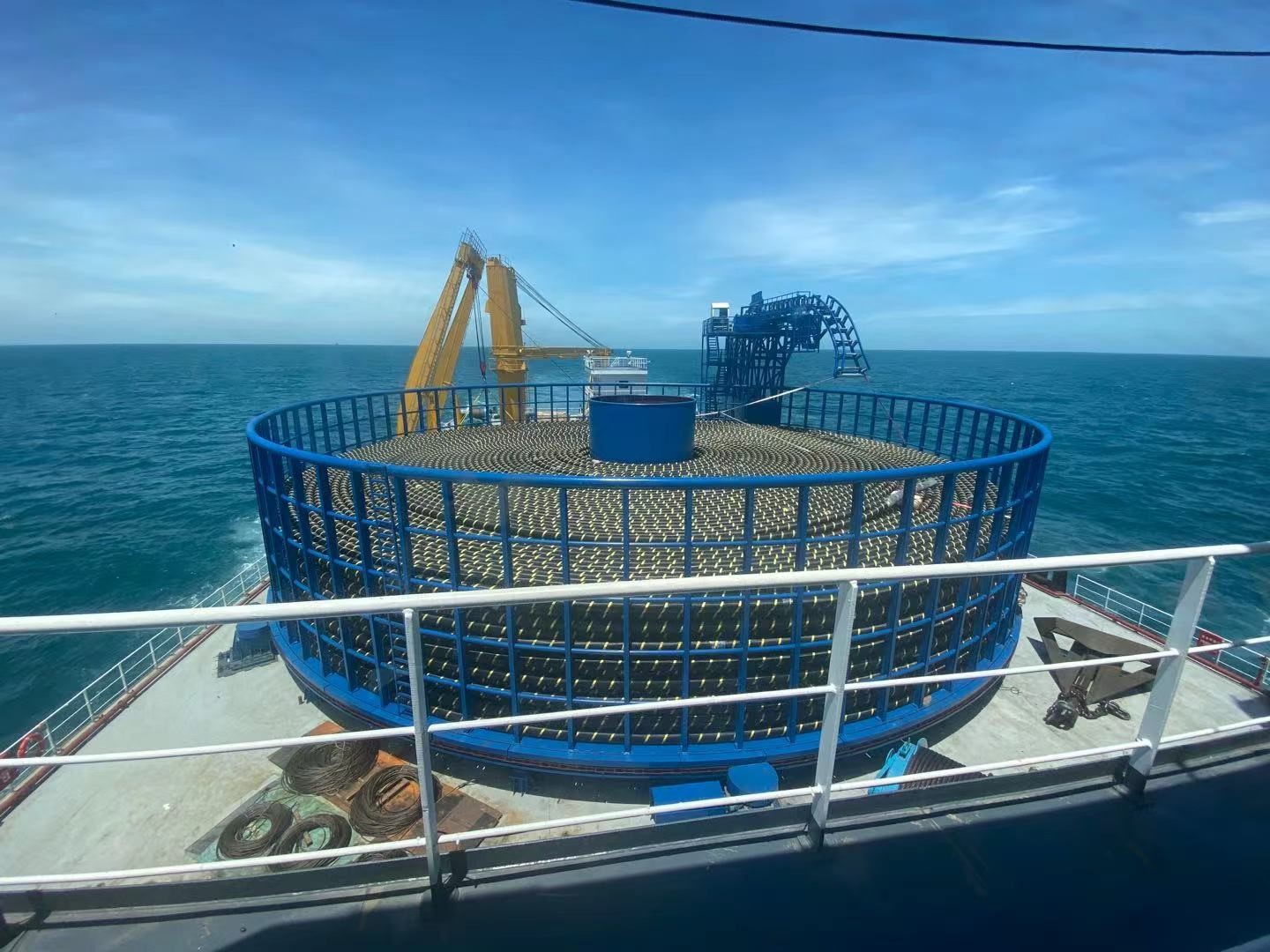 �µ�����(�й�)���޹�˾����