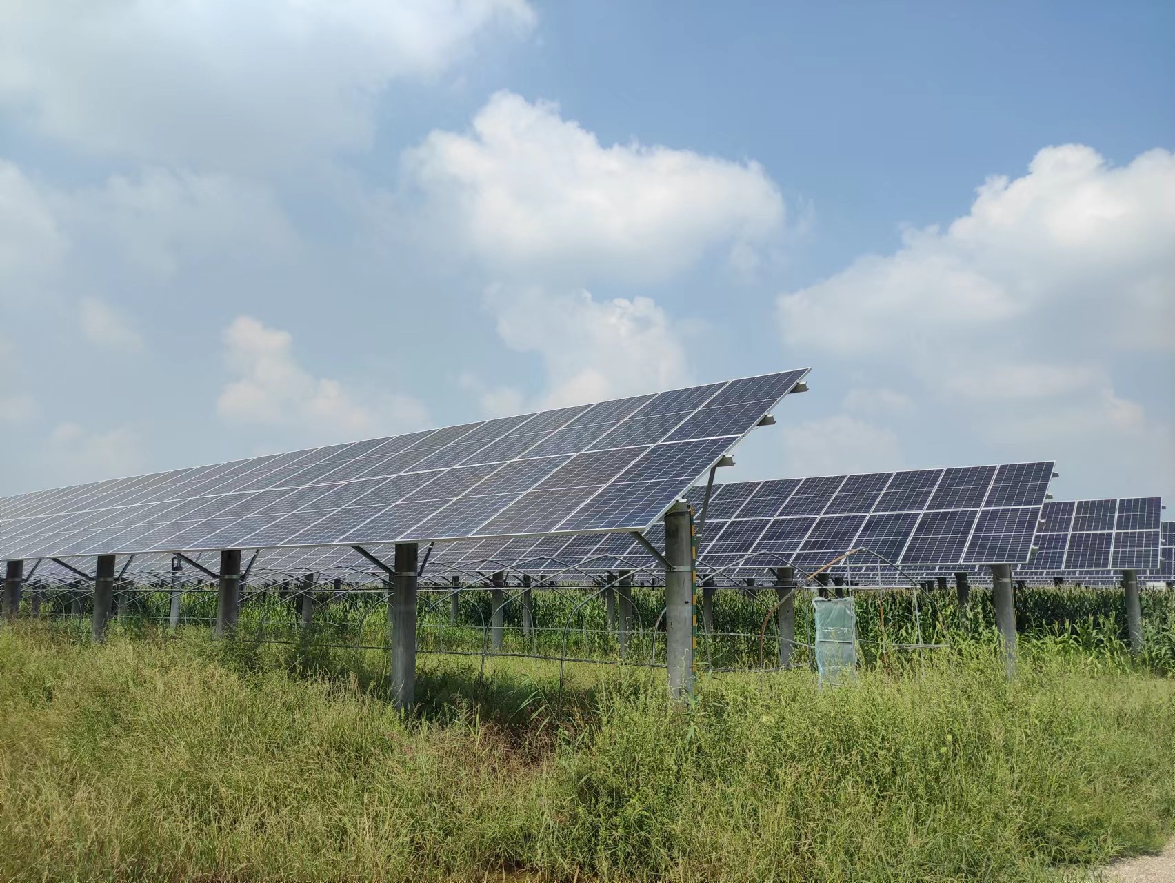 �µ�����(�й�)���޹�˾����