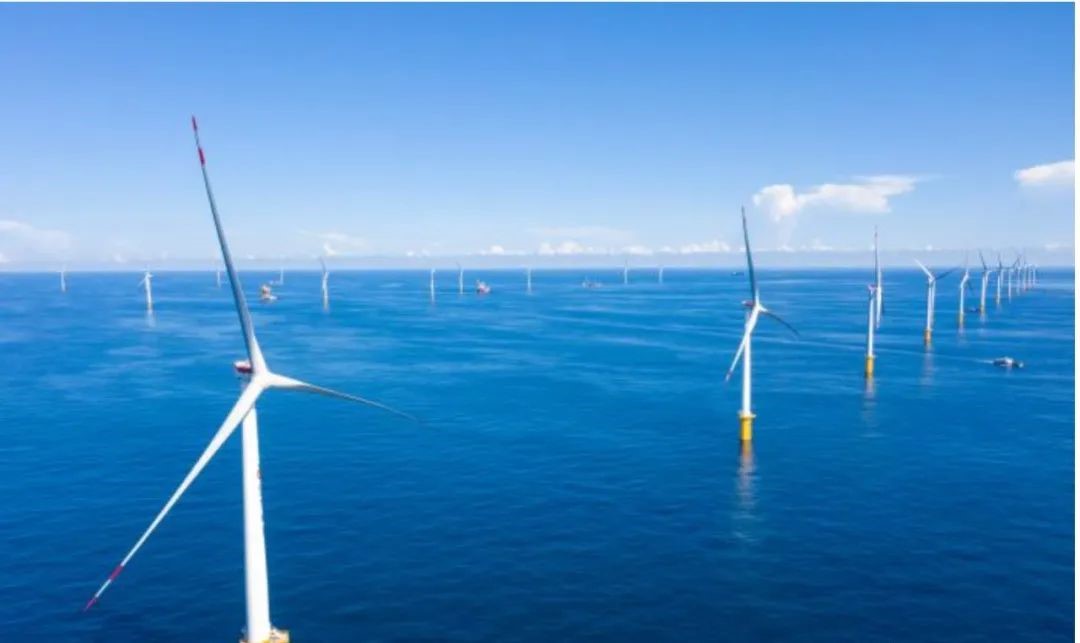 �µ�����(�й�)���޹�˾����