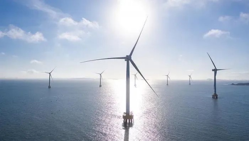 �µ�����(�й�)���޹�˾����