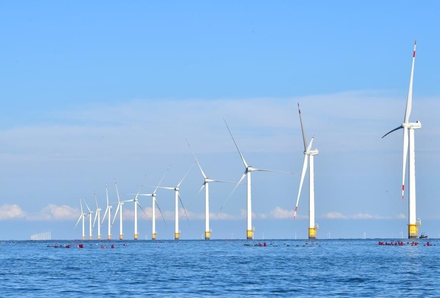 �µ�����(�й�)���޹�˾����