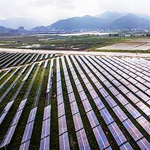 �µ�����(�й�)���޹�˾����