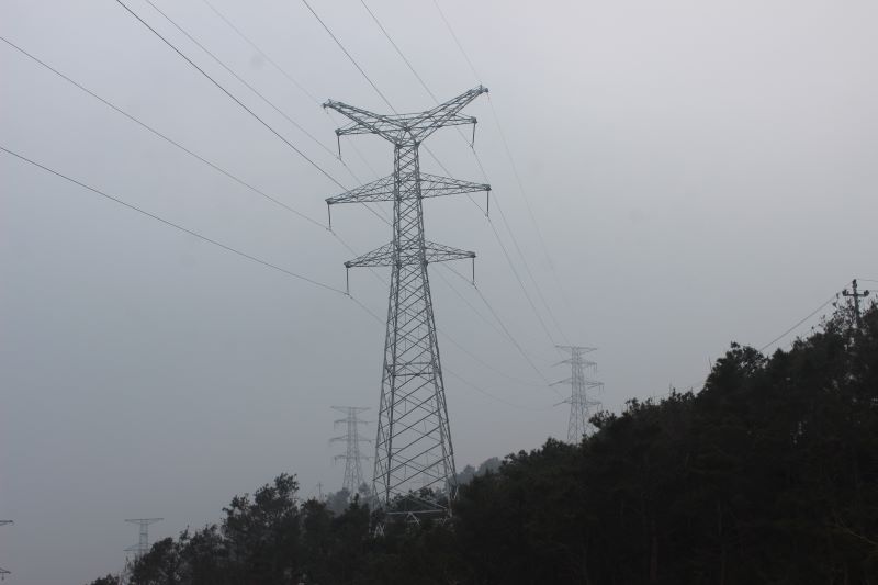 �µ�����(�й�)���޹�˾����