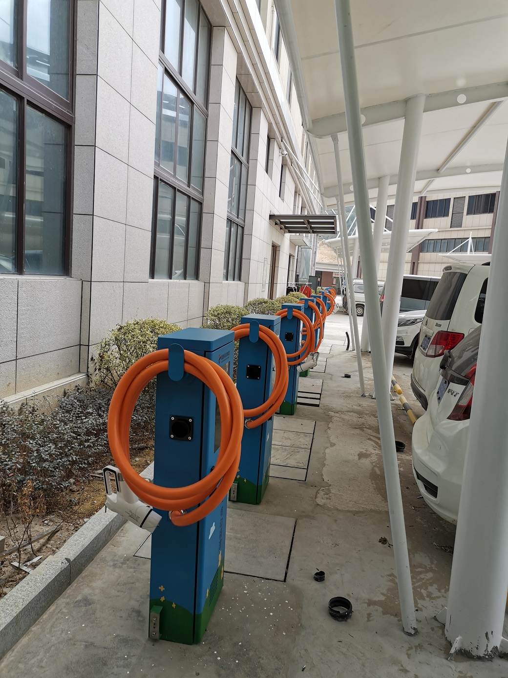 �µ�����(�й�)���޹�˾����