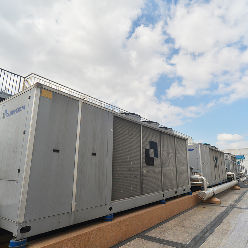 �µ�����(�й�)���޹�˾����