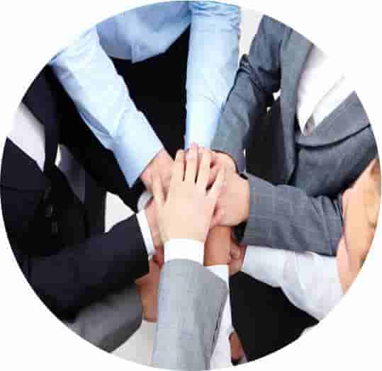 �µ�����(�й�)���޹�˾����